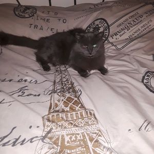 Meet your Posher, Catherine